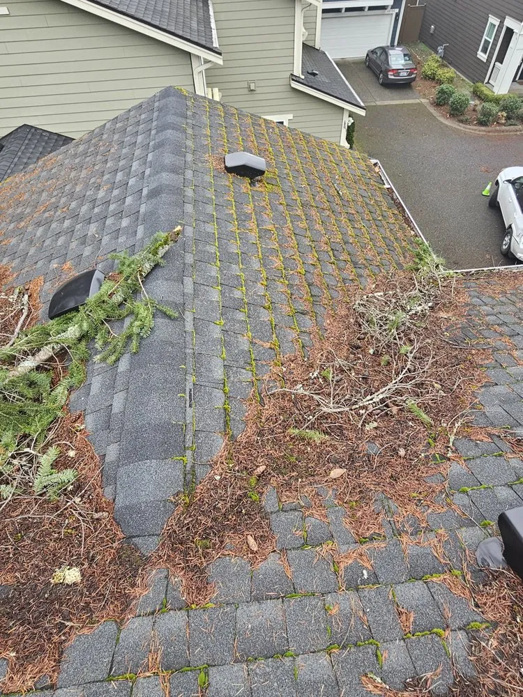 Slide of Super Softwashing