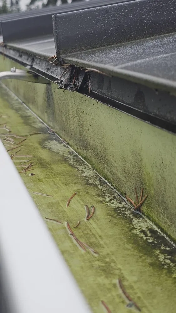 Slide of Super Softwashing