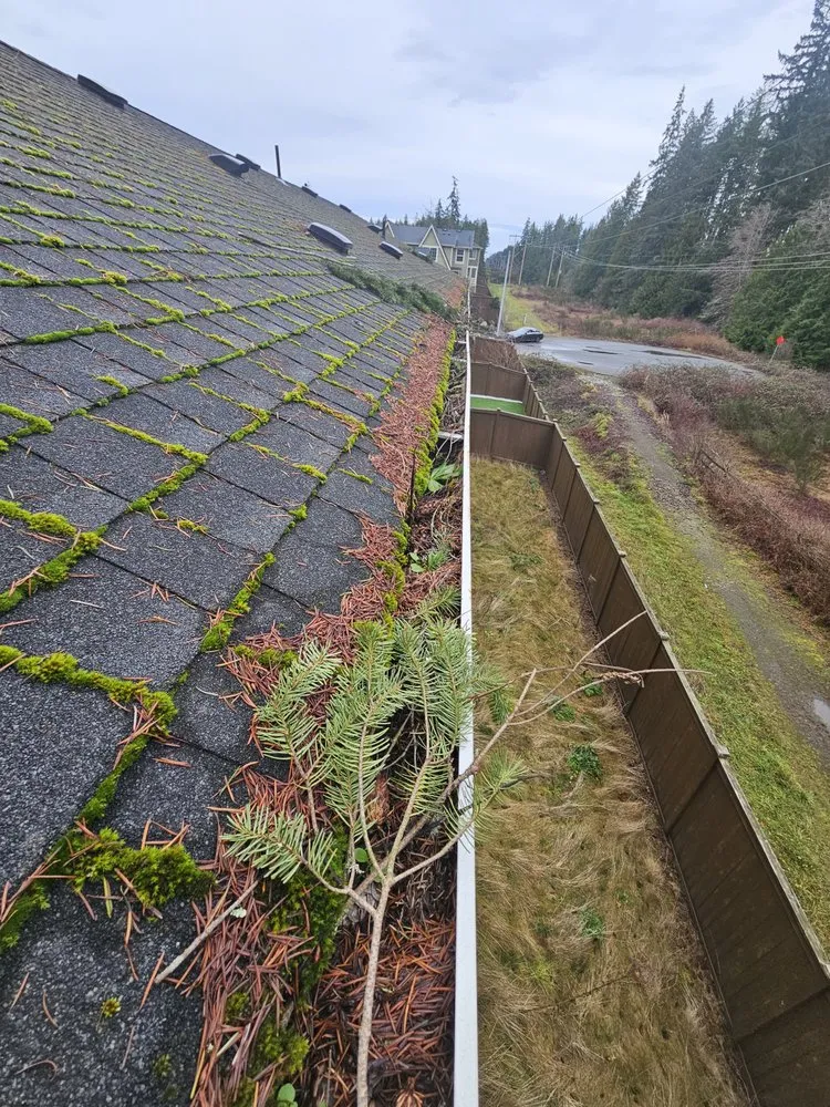 Slide of Super Softwashing