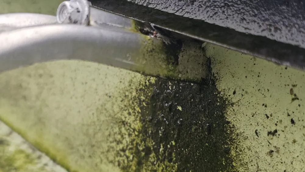 Slide of Super Softwashing