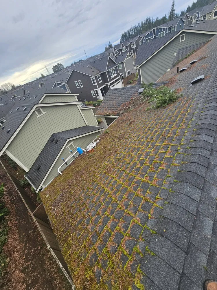 Slide of Super Softwashing