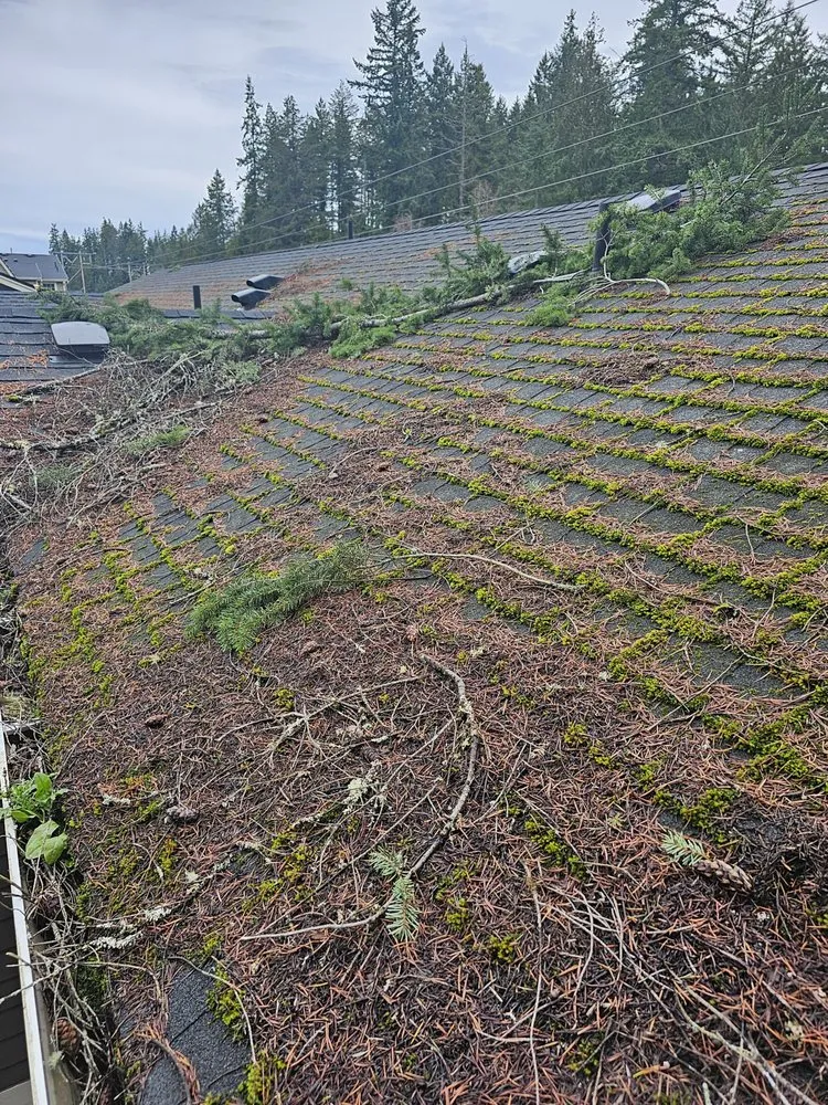 Slide of Super Softwashing