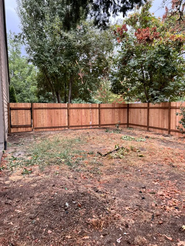 Slide of SUPER SOLID