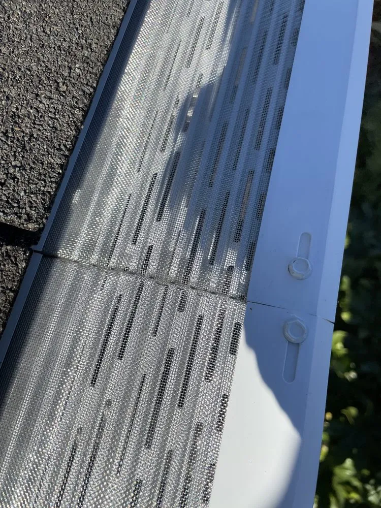 Slide of Superb Gutters