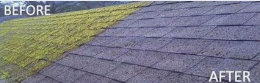 Slide of Superior Exterior Cleanings