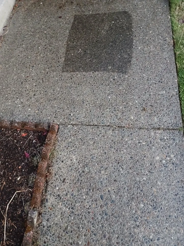 Slide of Superior Exterior Cleanings