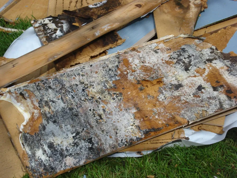 Slide of Superior Exterior Systems