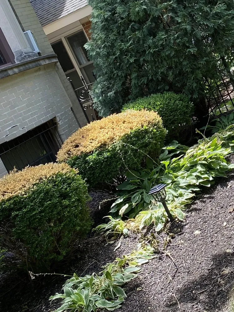 Slide of Superior Exteriors