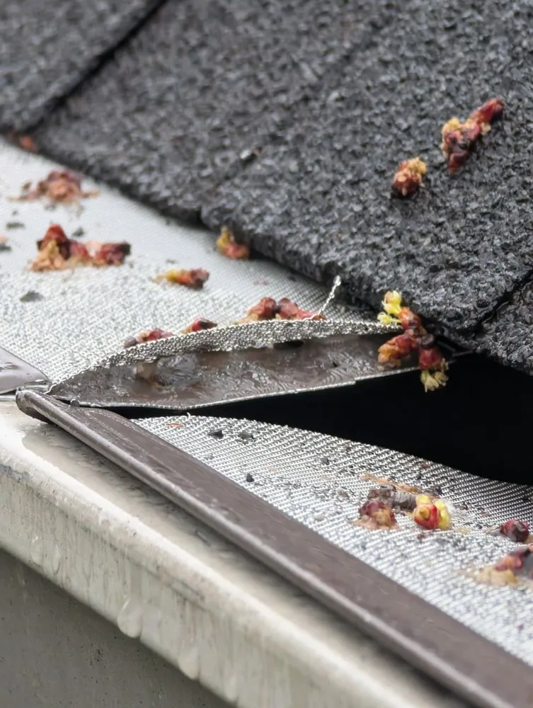 Slide of Superior Home Specialists