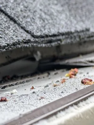 Superior Home Specialists