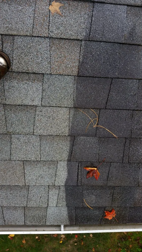Slide of Superior Roof Cleaning