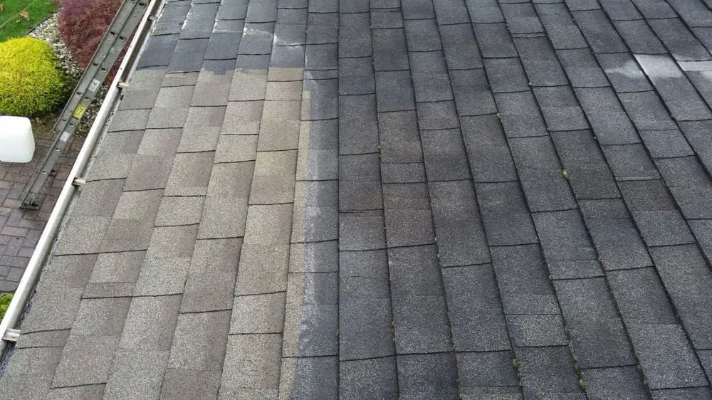 Slide of Superior Roof Cleaning