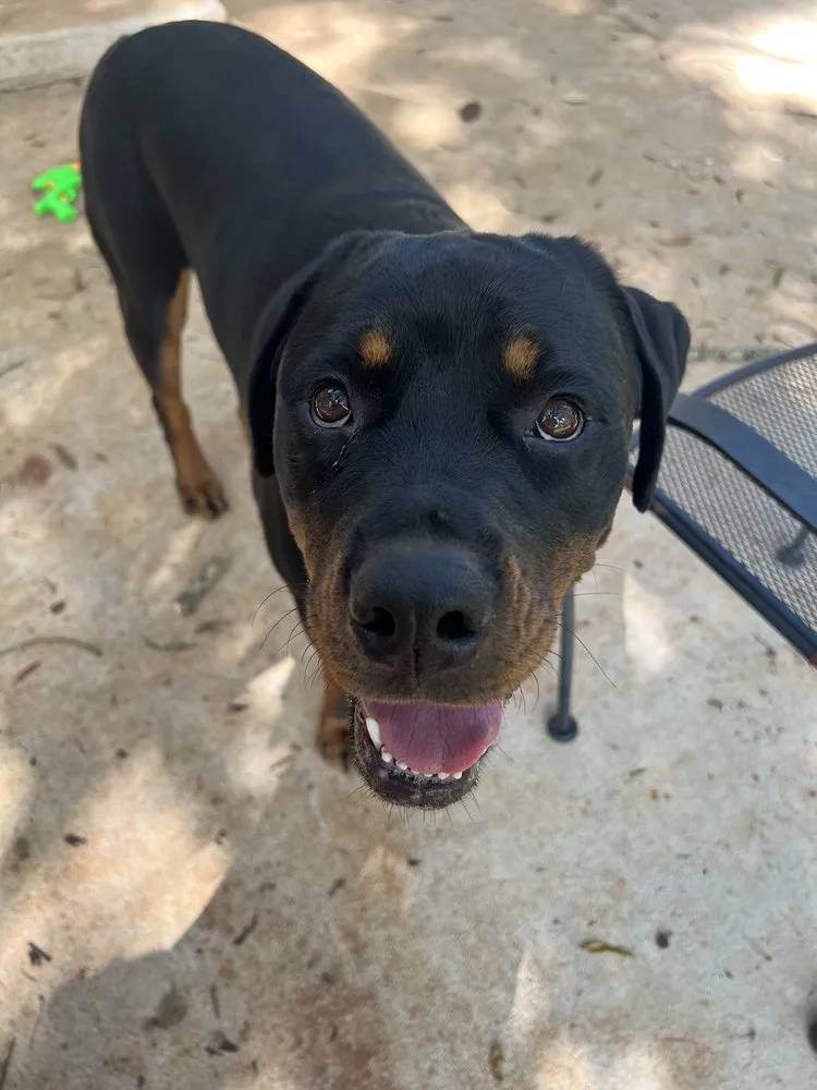 Slide of Superior Roofing - Auburn