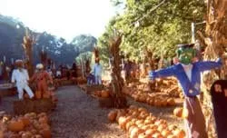 Slide of Superior Siding & Windows