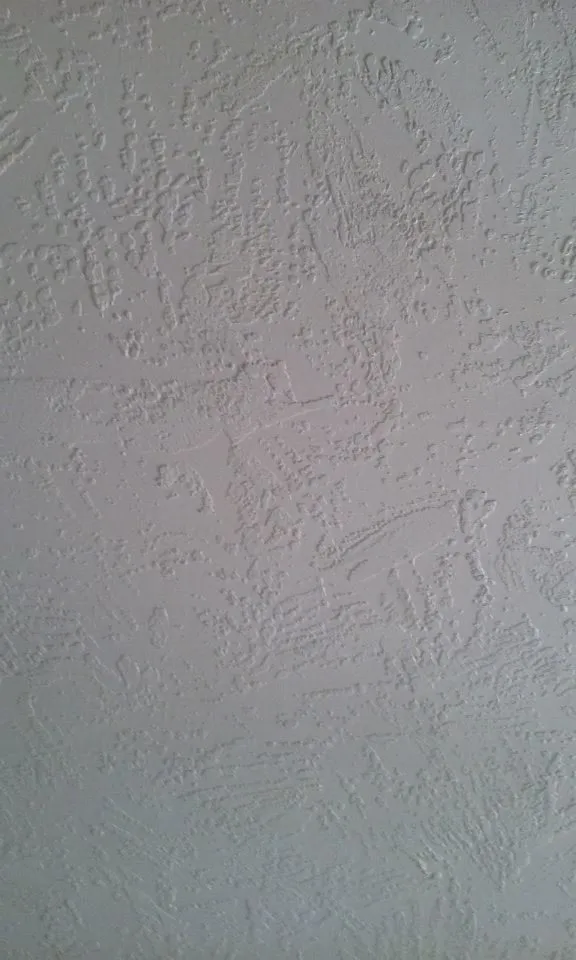 Slide of Superior Wall Finishes