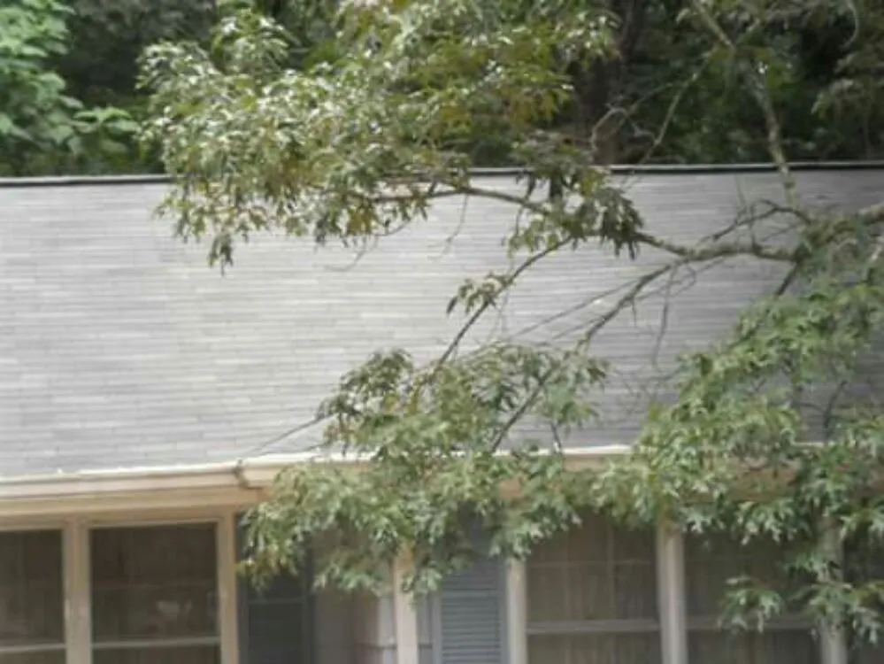 Slide of Supreme 1 Restorations