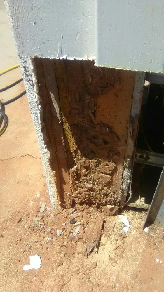 Slide of Supreme 1 Restorations