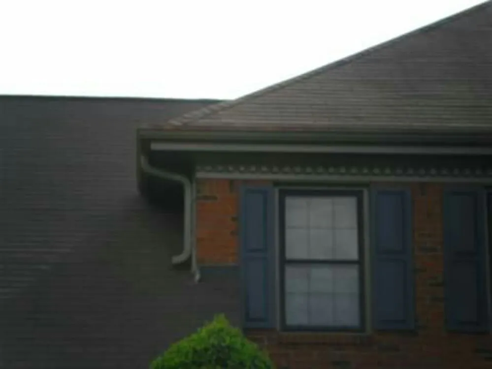 Slide of Supreme 1 Restorations