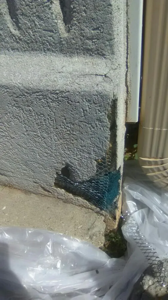 Slide of Supreme 1 Restorations