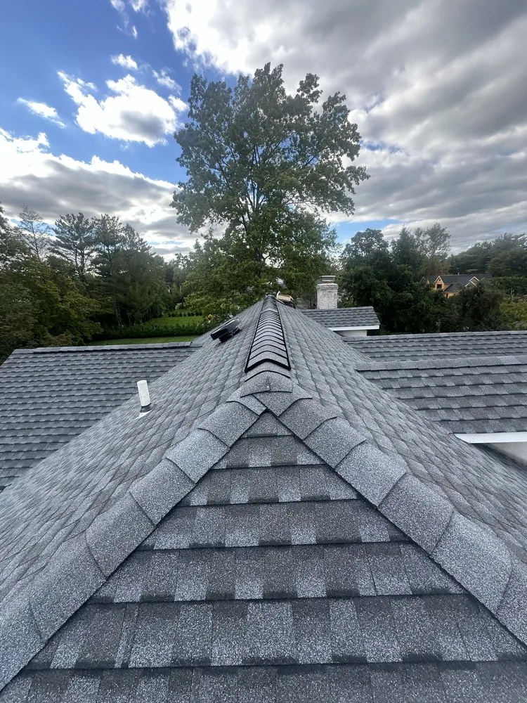 Slide of Supreme Island