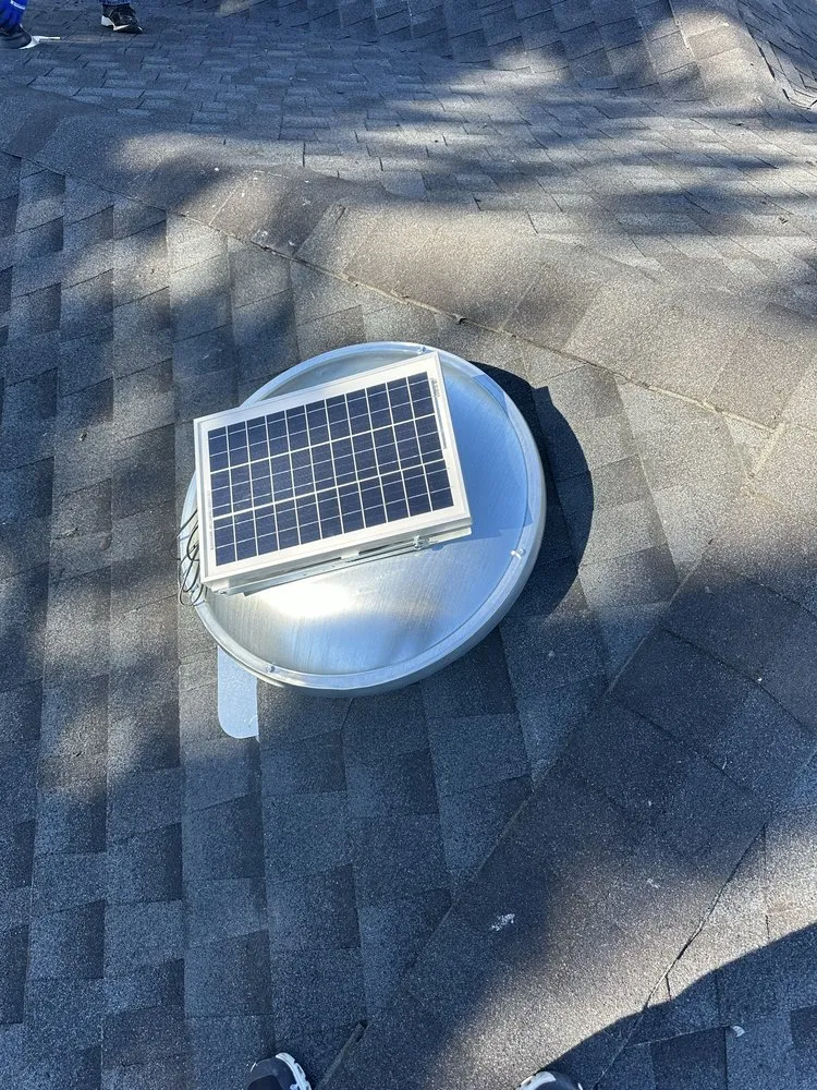 Slide of Supreme Island