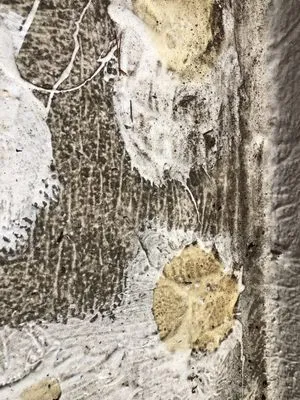 Sure Roofing & Waterproofing Logo