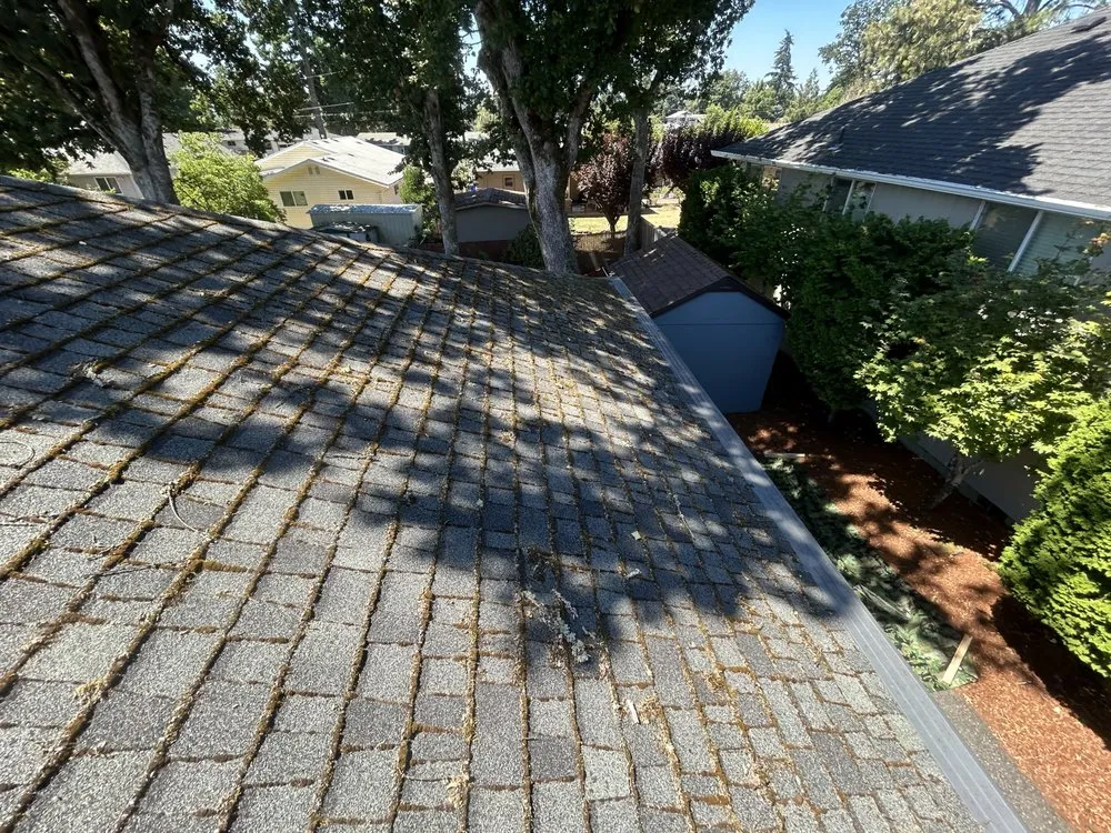 Slide of Sure Thing Construction