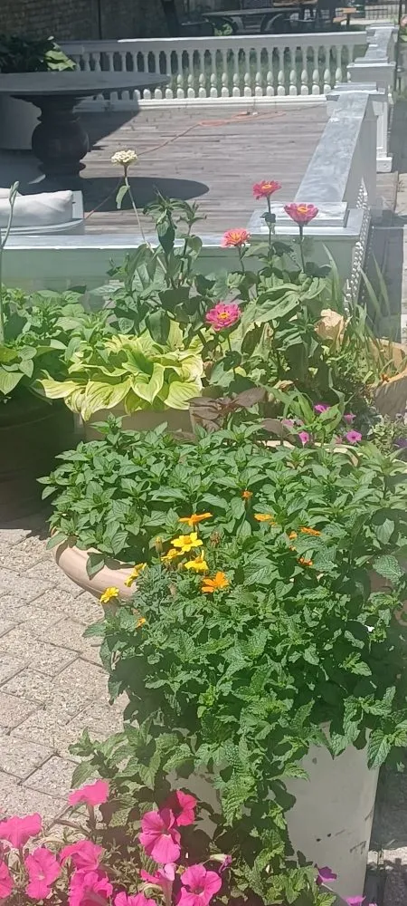 Slide of Survival Tech Handyman