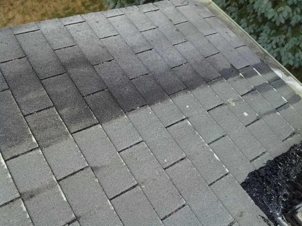 Slide of Sussex County Roof Cleaning