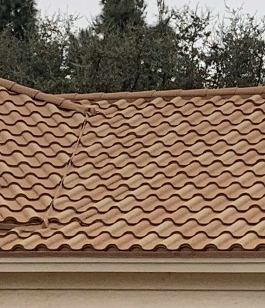 Slide of Sustainable Edge Construction And Roofing