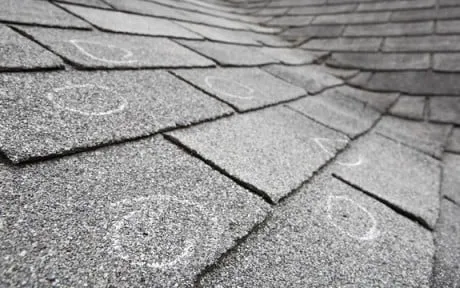 Slide of Sustainable Roof Systems