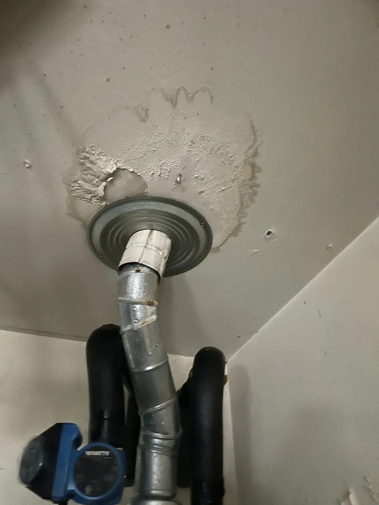 Slide of Sustainable Roofing and Solar