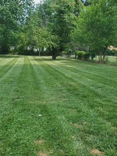 Slide of SuttonHillinc