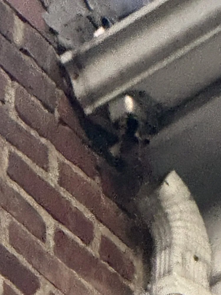 Slide of SVM Roofing