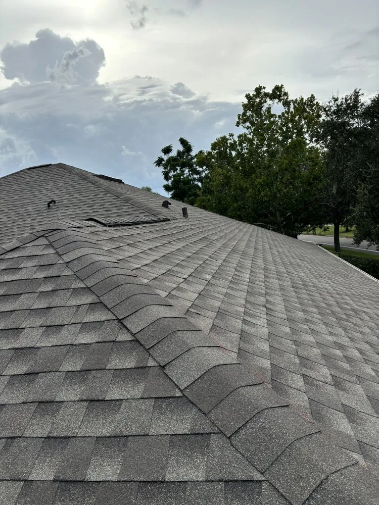 Slide of Swamp Roofing