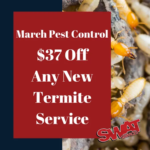 Slide of SWAT Services