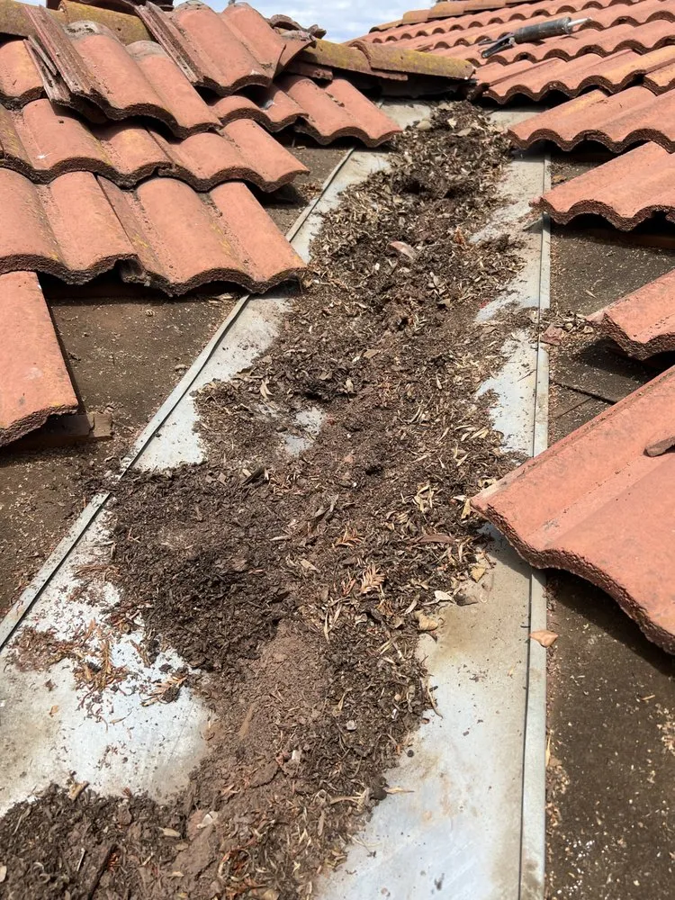 Slide of SWC Roofing