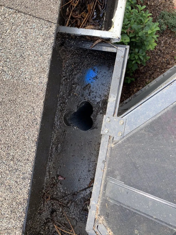 Slide of Sweep My Roof