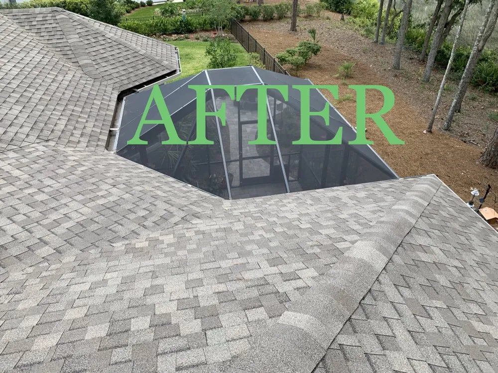 Slide of Sweep My Roof