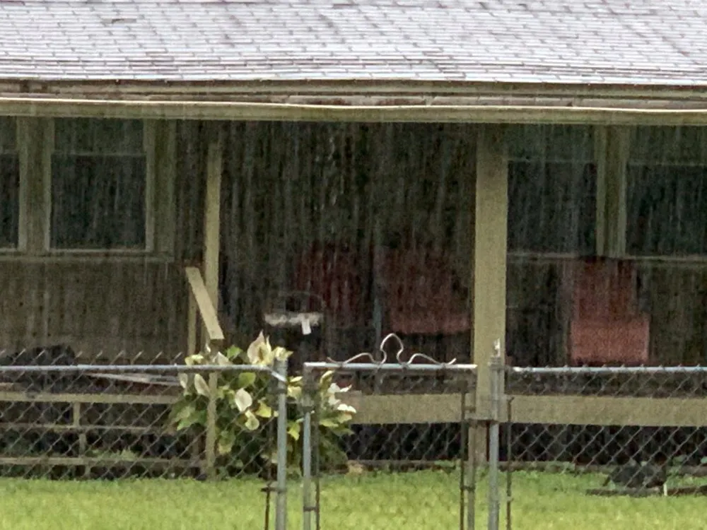 Slide of Sweep My Roof