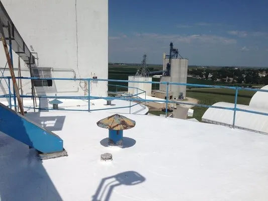 Swi Windows Doors & More