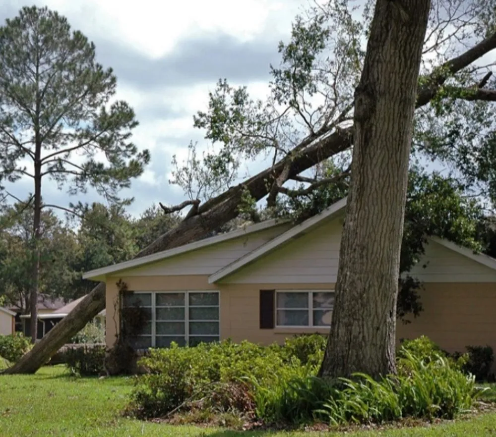 Slide of S&Y Roofing & Paving