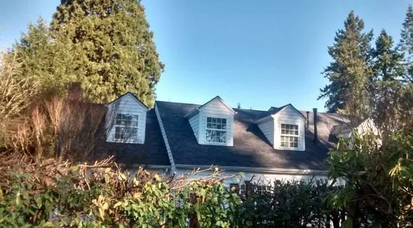 Slide of Synergy Construction Group