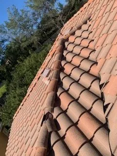 Slide of Synergy Home Service