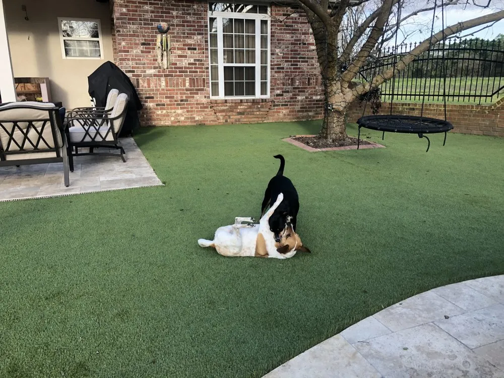 Reliable metal roofing installation in St. Martinville, LA by SYNLawn South Louisiana