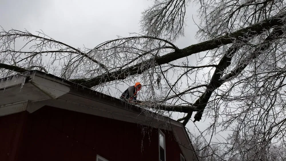 Slide of T & L Roofing