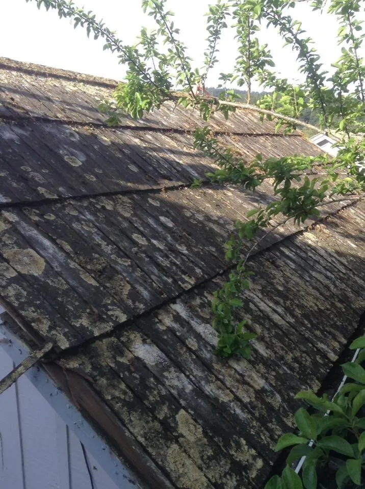 Slide of T And T Roofing