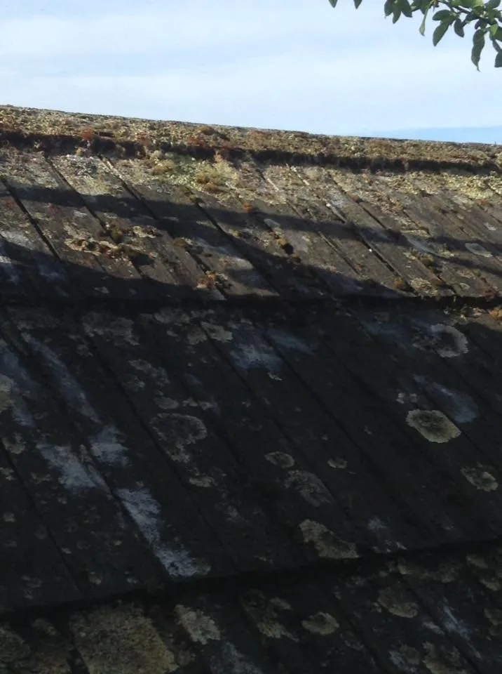 Slide of T And T Roofing