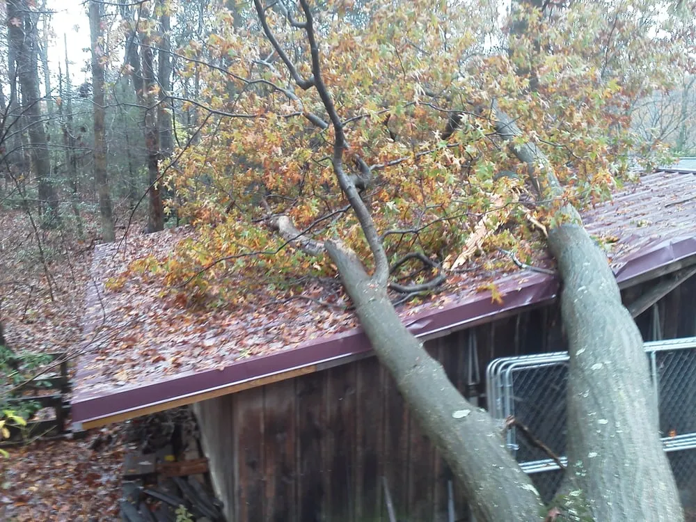 Professional flat roof repair experts serving White Hall, MD - T. B.Bova, Inc.