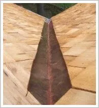 Slide of T. Joseph Dunleavy